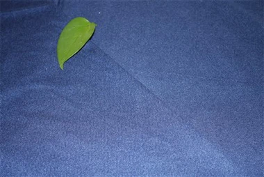 মখমল কাপড় ফ্যাব্রিক